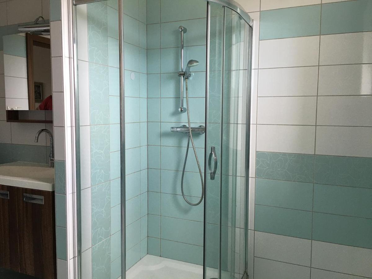 Apartman Krasna Vyhlidka Dolni Benesov Zewnętrze zdjęcie