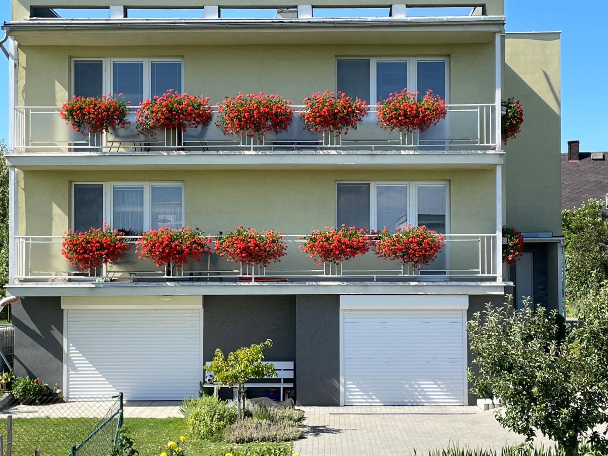Apartman Krasna Vyhlidka Dolni Benesov Zewnętrze zdjęcie